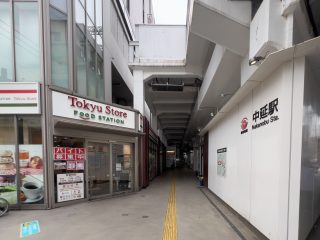 東急ストアフードステーション中延店　約300m　